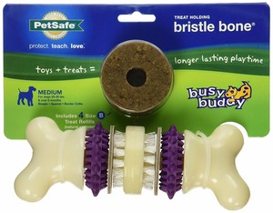 bristle bone