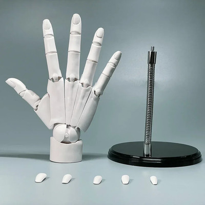 Articulated Hand Model for Sketching, Painting, and Home Decoration