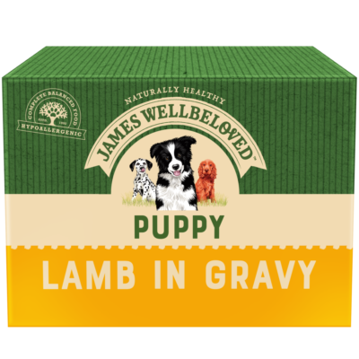 James Wellbeloved Dog Puppy Lamb Rice 10 X 150g for sale online