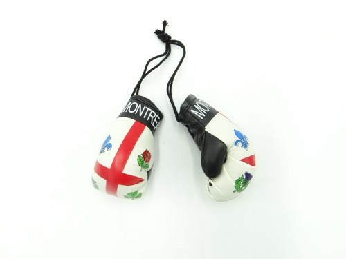 High Quality Country Flag MINI BOXING GLOVES - Rear View Mirror Gloves - New - Picture 17 of 134