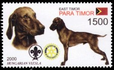 TIMOR LESTE 2000j - Dogs of the World "Hungarian Vizsla" (pb74110+)