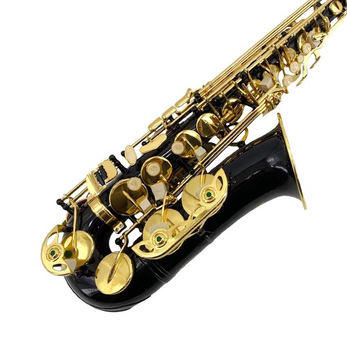 Saxophone Alto Eb Black Lacquer Sax Full Kit With Mouthpiece,Straps, Reeds - Picture 10 of 17