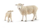 Afbeelding 2 van 7
