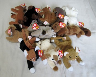 Set of 11 -Ty Beanie Babies Cats Nip, Snip, Chip, Pouch, Nuts, Fleece, Derby etc