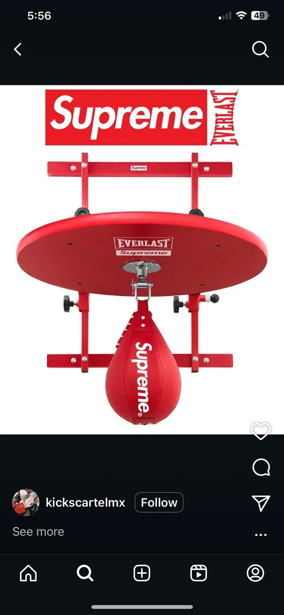 Everlast Red Boxing & Martial Arts Punching Bags for sale | eBay