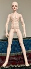 LUTS *NEW* Delf Raven Mature Male 1/4 BJD COA Doll Only With Face Up & Eyes — photo 8