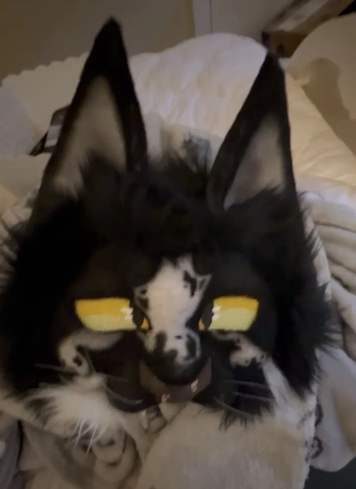 Black and white cat therian mask
Opens in a new window or tab