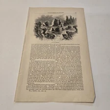 View Coast Of Iceland c. 1863 Engraving (386)