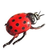 Ladybug Geocaching Hideaway Geocache Special Fancy Forest Animal Tube
