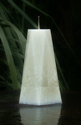 100 hour 6pk EUCALYPTUS LEMONGRASS Triple Scent SOY CANDLE MELTS for OIL BURNER - Picture 12 of 24