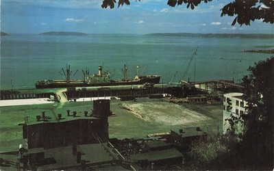 Everett WA Puget Sound Ocean Freighter Pulp Mill Plastichrome Postcard