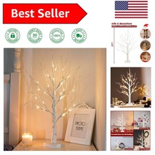 Warm White LED Birch Tree, 2FT Beautiful Indoor Decoration for Any Occasion