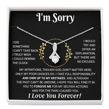 I'm Sorry Necklace Gifts, Apology Gifts For Her, Forgiveness Gift, Wife Gift