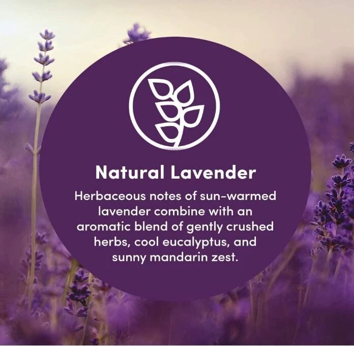 Clean Revolution Foaming Hand Soap Refill Supply Assorted Scent Names - Image 2 of 4