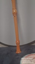Mock Rottenburg Alto