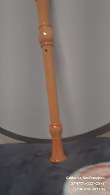Mock Rottenburg Alto