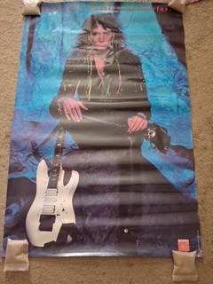 Steve Vai Passion and Warfare 1990 Ross Halfin Photo 1990 24x36 Poster