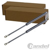 2X Nty Gasfedern MOTORHAUBEN-LIFTER Passend FüR Bmw 3 Links+Rechts | AE-BM-000