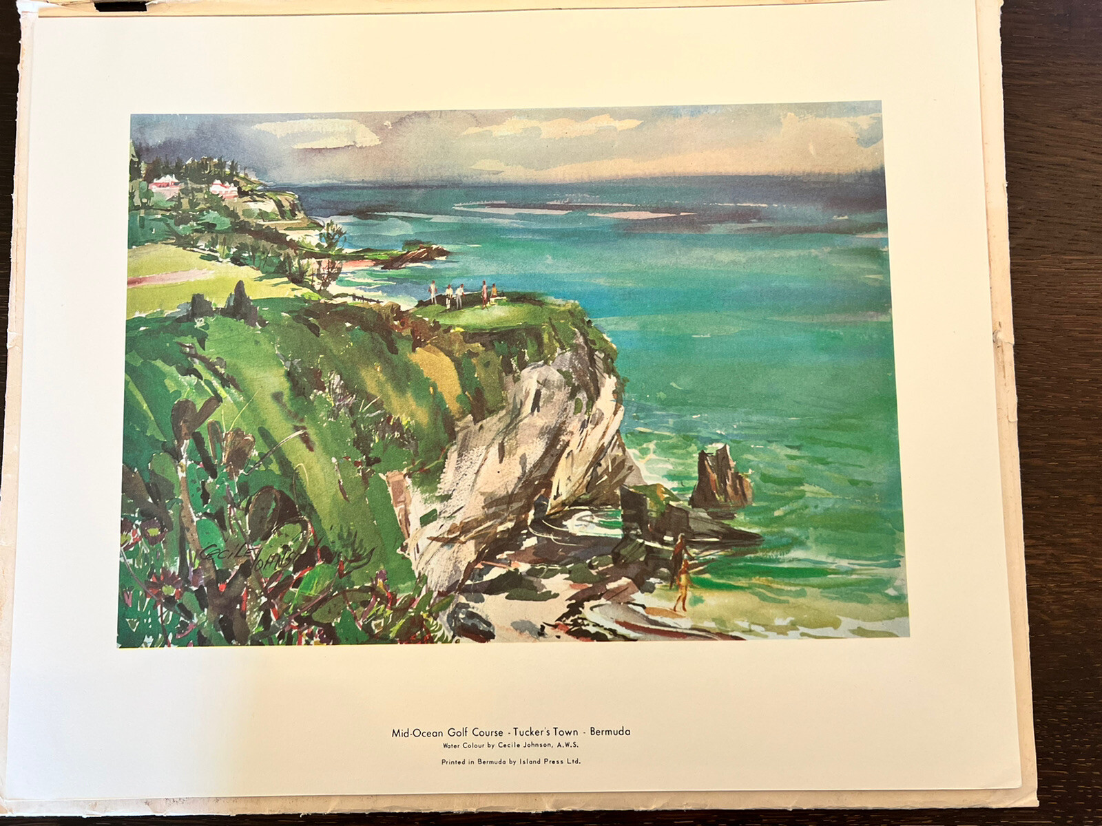 Cecile Johnson Bermuda Watercolor Printsset of 6 with Artist Bio