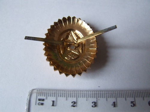 Sowjet Armee Kokarde Offizier Sowjetunion UdSSR Rote Armee Uniform Stern Feld - 第 6/10 張圖片