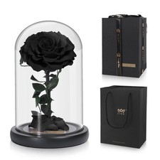 Preserved Rose Roses in Glass Dome  Made from Real Fresh Beauty Rose, Preserve...