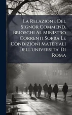 La Relazione Del Signor Commend. Brioschi Al Ministro Correnti Sopra Le Condizio
