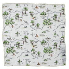 Disney Winnie the Pooh Map Pocket Square