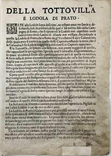 1622 Blue Tit, Ornithology, Ant. Tempesta; F. Villamena, Master Engraving - Picture 4 of 4