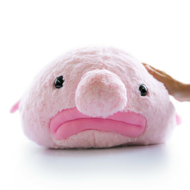 blobfish plush ebay