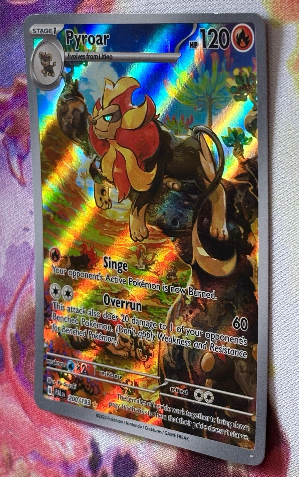 Pokemon Pyroar 200/193 Sv02: Paldea Evolved Holo NM Near Mint Condition