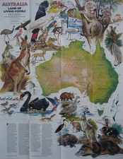 AUSTRALIA ANIMAL MAP Koala Platypus Kangaroo Wallaby Dingo Tasmanian Devil Emu
