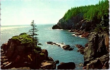 Postcard West Quoddy Head Cliffs Birds Eye Maine D64