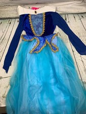 Princess Party Girls Costume Dress with Cosplay Accessories Size 9 to 10 Years