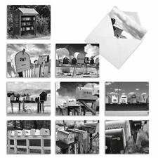 10 Assorted All Occasion Note Cards Blank - IN THE MAIL