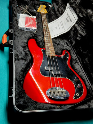 Lakland Skyline 44 64 w/Fender hard case owned by Joe Troman of Fall Out Boy