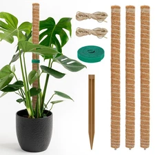 Moss Poles Monstera Plant Support for Potted Climbing Plants Holder