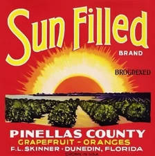 Dunedin, FL Sun Filled Orange Grapefruit Citrus Fruit Crate Label Art Print