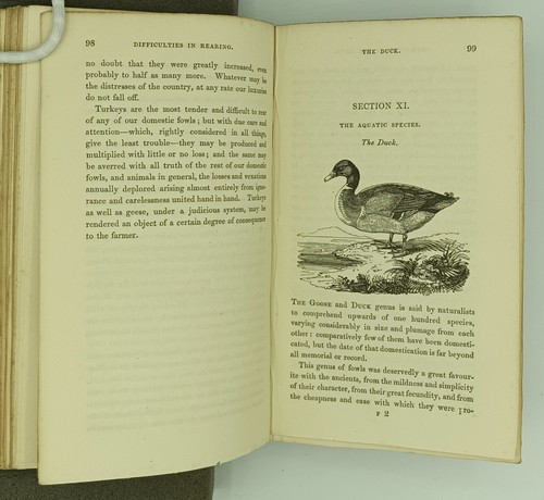 MOUBRAY ON POULTRY by Bonington Moubray, 1842, Illustrated, Early Husbandry - Picture 7 of 7