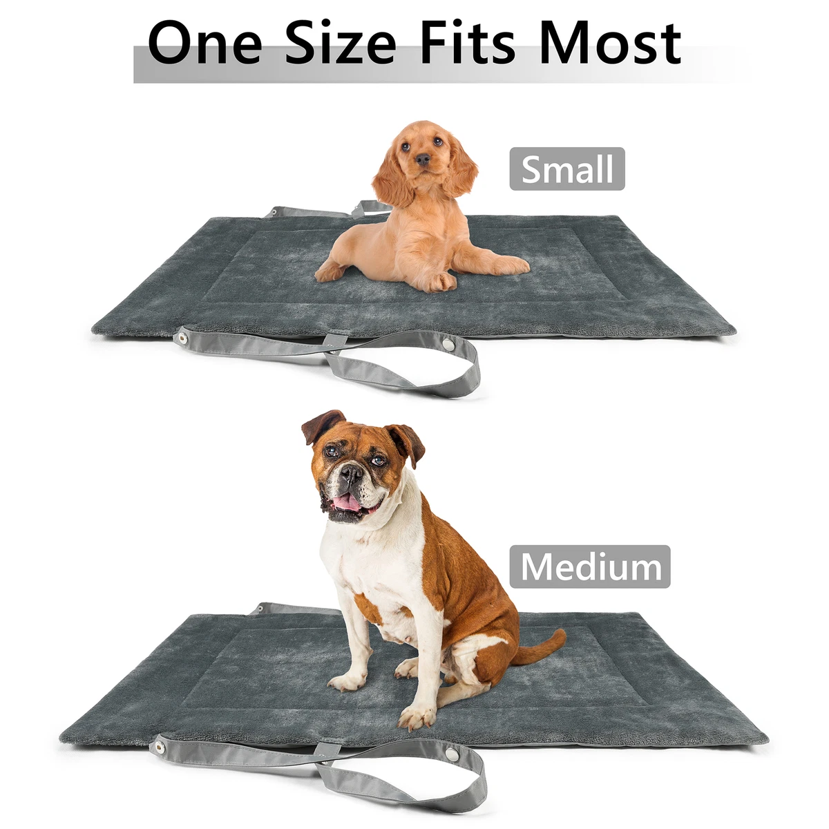 Reversible dog mat