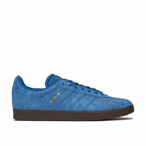 gazelle homme bleu