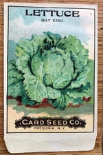 Antique Original 1900s Fredonia NY Card Co. Empty Lettuce Seed Packet Vegetable