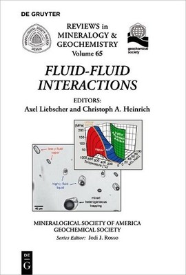 Axel Liebscher Fluid-Fluid Interactions (Paperback)