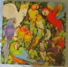 Vtg COMPLETE Springbok Puzzle Jungle Birds Parrot Macaw Toucan Parakeets EUC