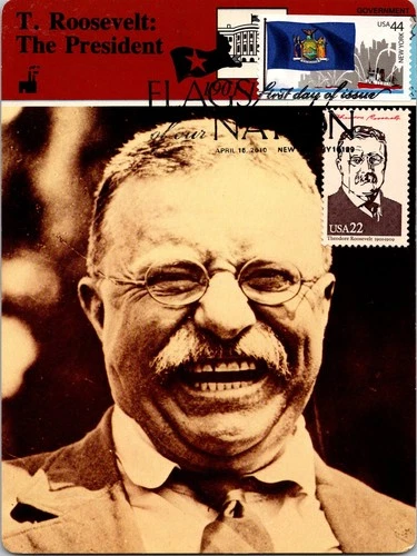 Dr Jim Stamps Maximum Card New York State Flag 44C Theodore Roosevelt 22C Fdc