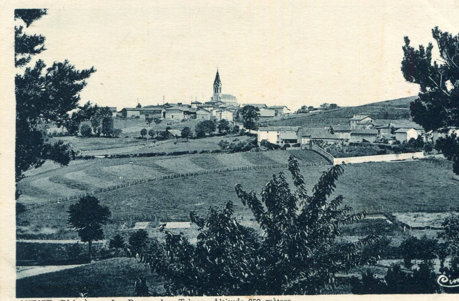 Photo 1/1