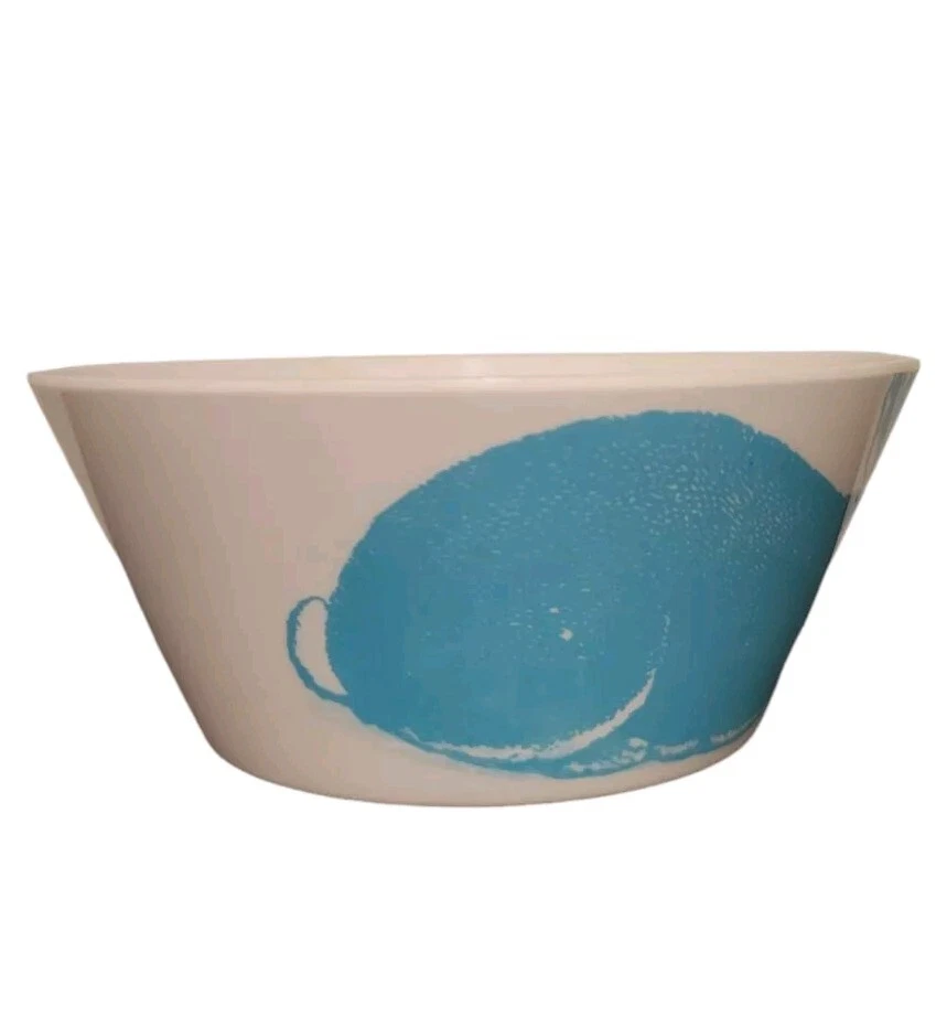 Thomas Paul Bowl Bunny Dinnerware Melamine Soup Carrot Rabbit Cereal Aqua Blue - Image 2 of 4