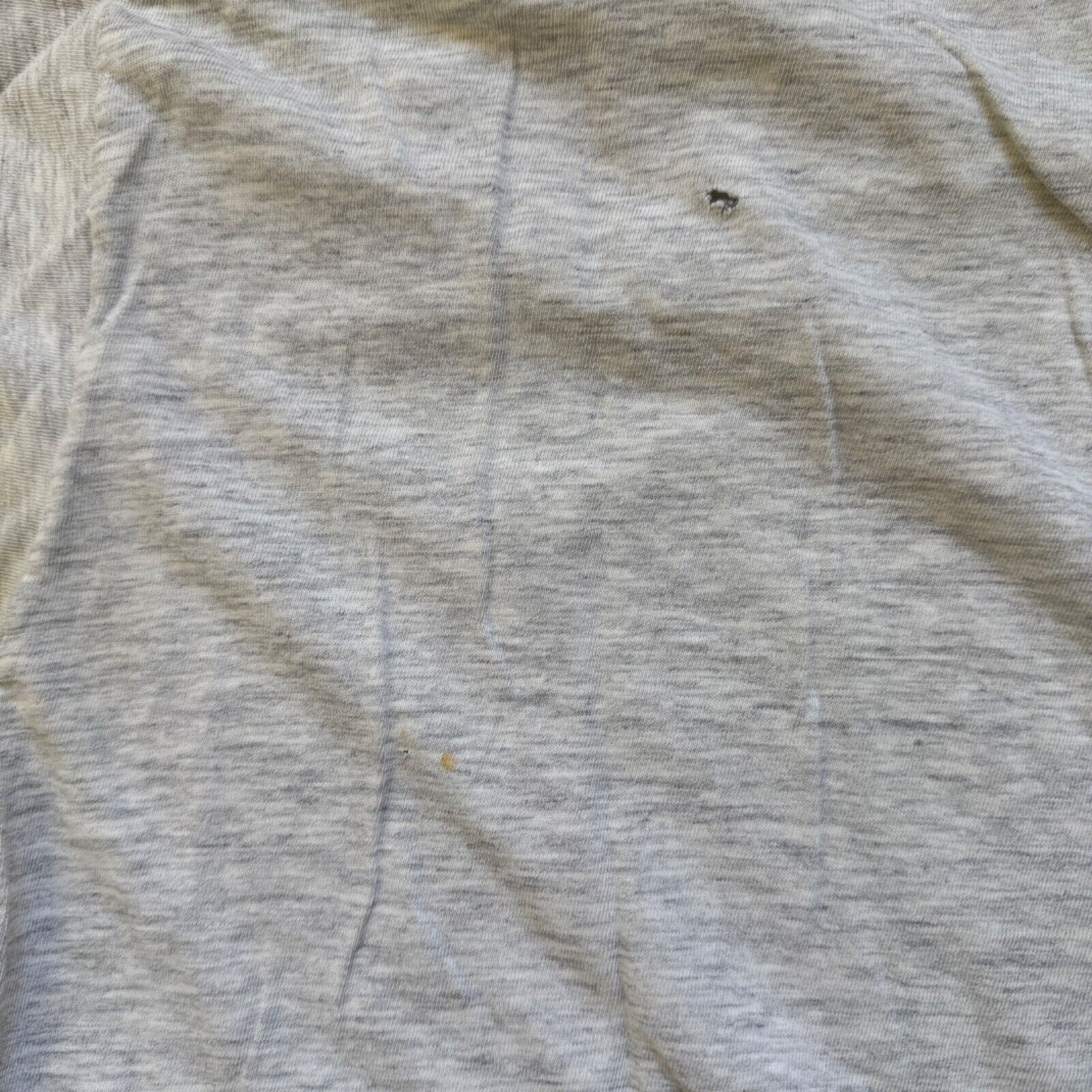 Picture 12 of 14