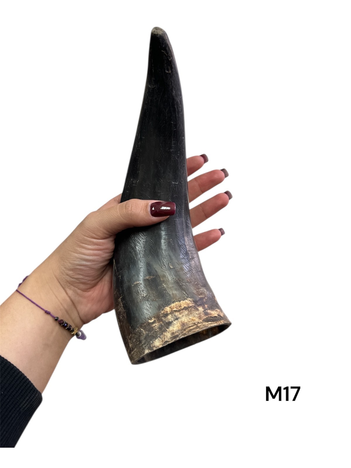 ONE MEDIUM UNPOLISHED COW HORN , REAL HORN , ONE OF A KIND , NATURAL COLOR , #17