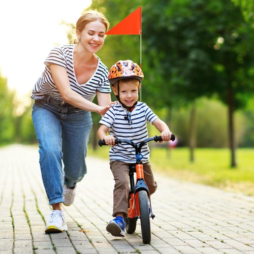 Bike Cycle Safety Flag with Long Pole and Fittings, Road Safety Flag for Outdoor - Picture 2 of 6