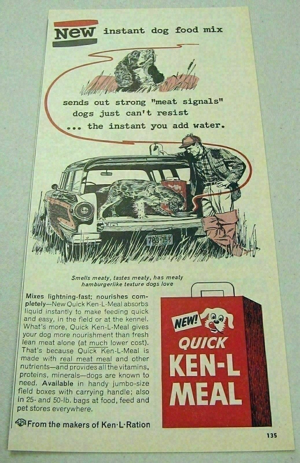 Hunter,dog,station Wagon Cartoon